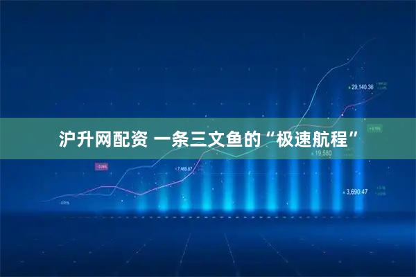 沪升网配资 一条三文鱼的“极速航程”