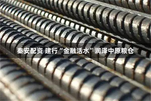 秦安配资 建行“金融活水”润泽中原粮仓