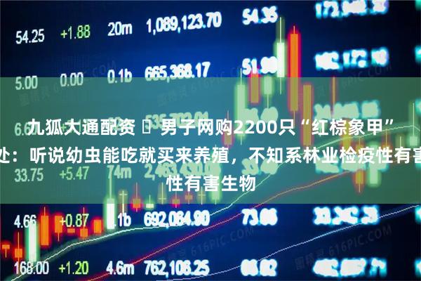九狐大通配资 ​男子网购2200只“红棕象甲”被查处：听说幼虫能吃就买来养殖，不知系林业检疫性有害生物