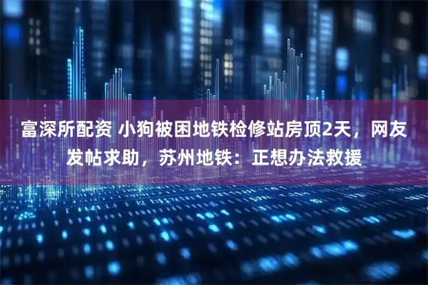 富深所配资 小狗被困地铁检修站房顶2天，网友发帖求助，苏州地铁：正想办法救援